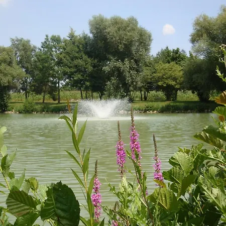 Minerva Diana Octavia Отель Бад-Геггинг